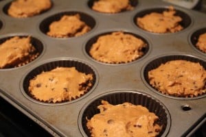 Pumpkin Spice Chocolate Chip Muffins | No Thanks to Cake