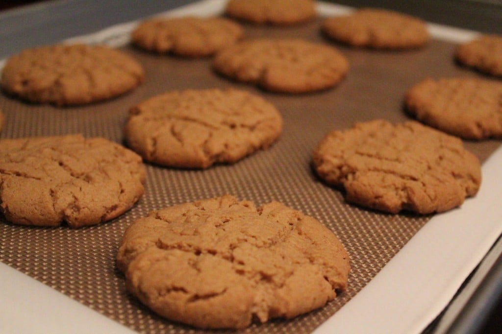 Old Fashioned Peanut Butter Cookies | No Thanks to Cake