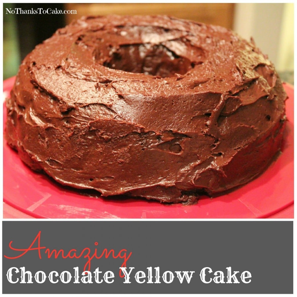 Amazing Chocolate Yellow Cake | No Thanks to Cake