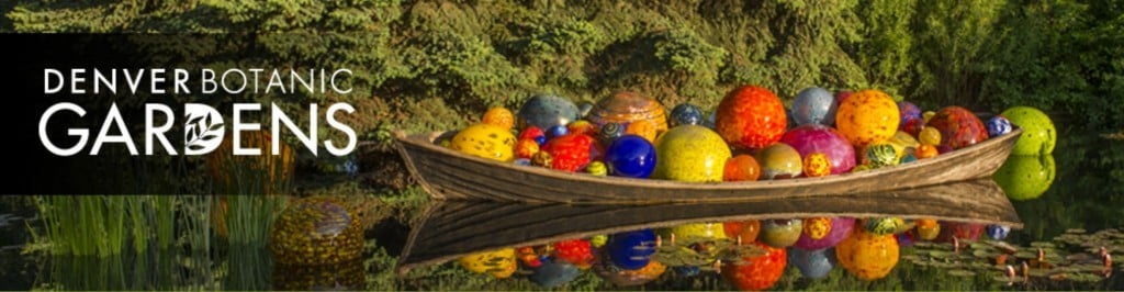 Chihuly at the Denver Botanic Gardens | No Thanks to Cake
