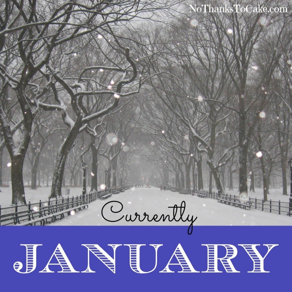 Currently January | No Thanks to Cake