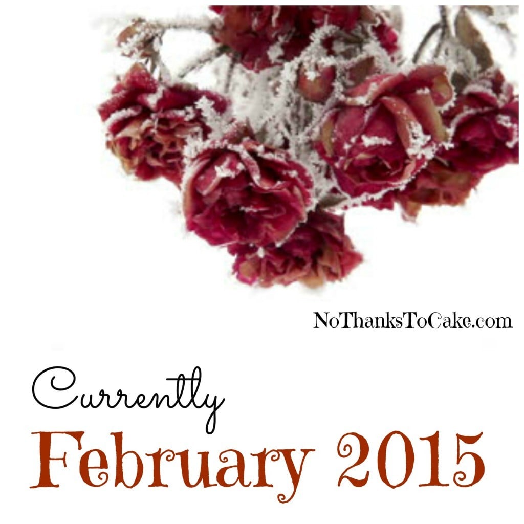 Currently February 2015 | No Thanks to Cake