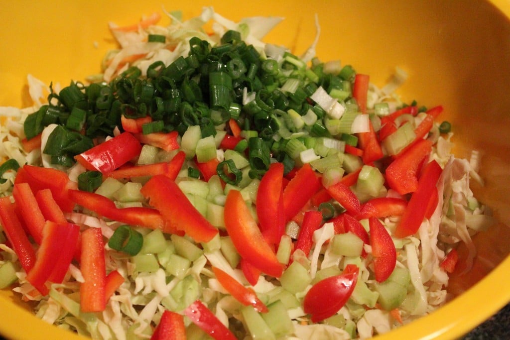 Healthy Asian Ramen Salad | No Thanks to Cake