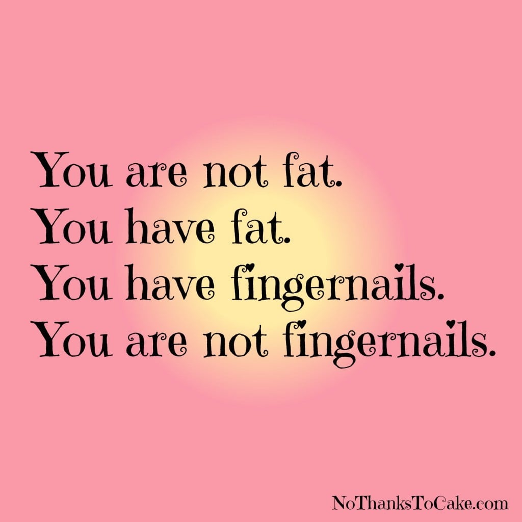 You Are Not Fat | No Thanks to Cake