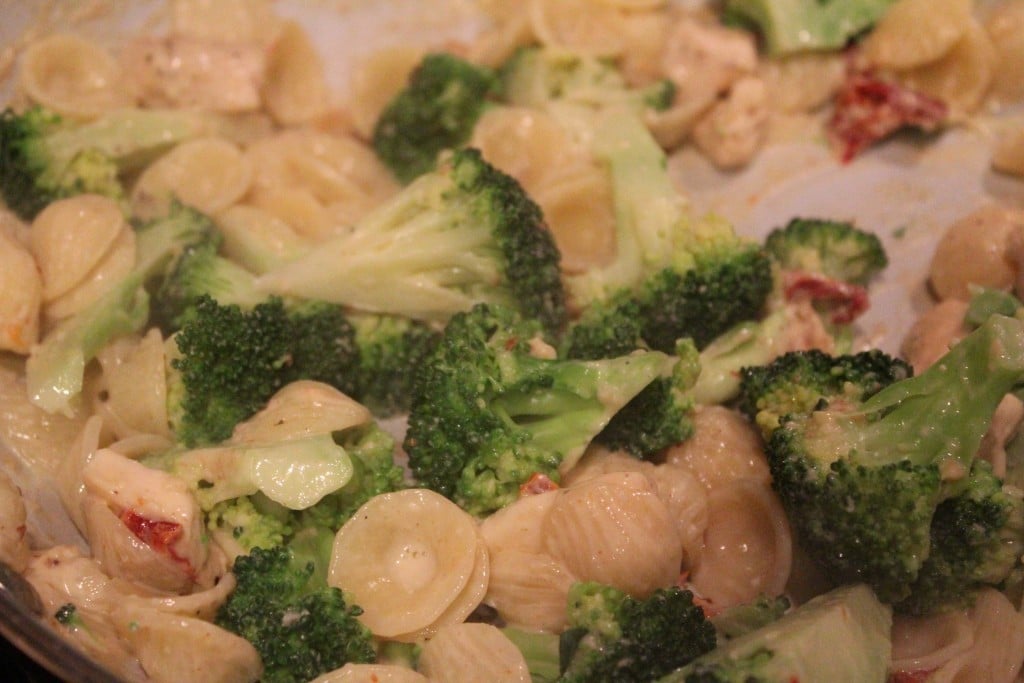 Lightened Up Broccoli Chicken Macaroni and Cheese | No Thanks to Cake