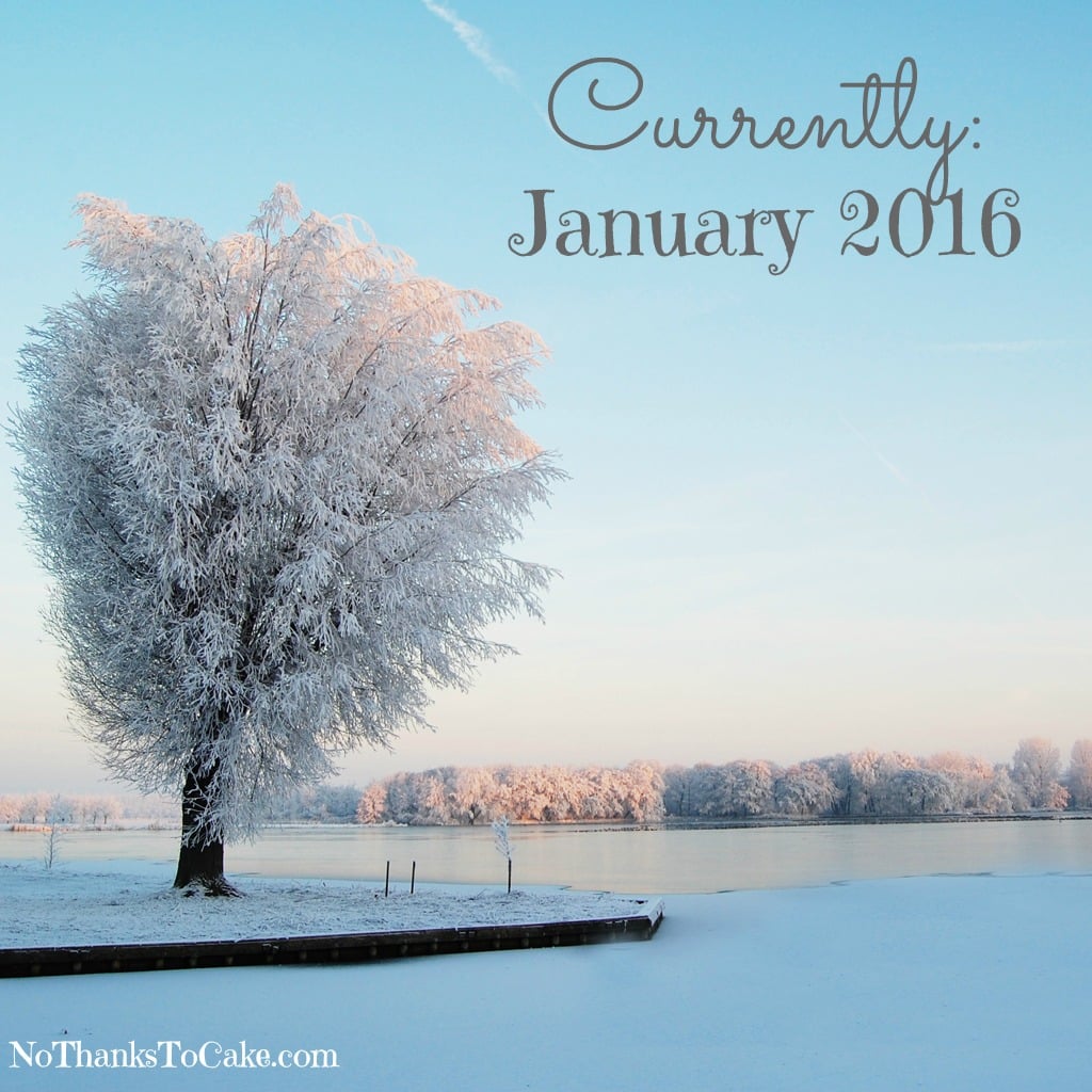 Currently January 2016 | No Thanks to Cake