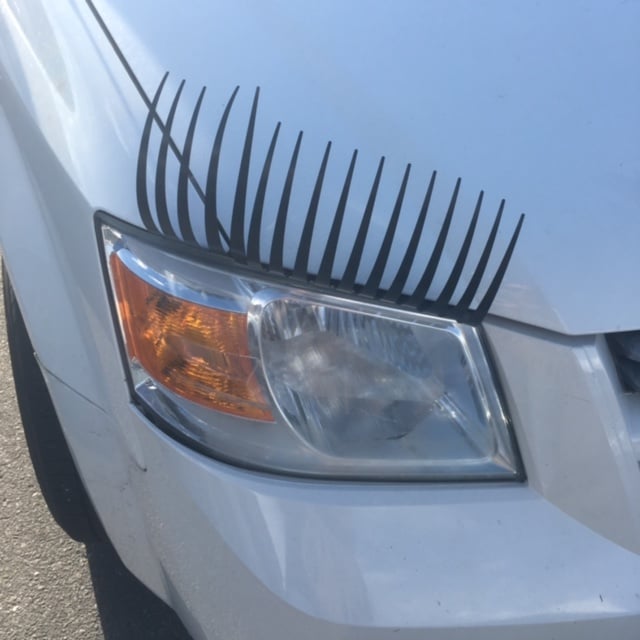 Eyelashes on Cars | No Thanks to Cake