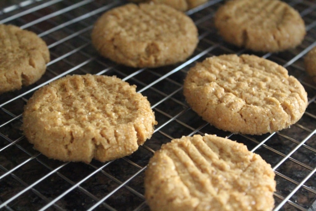 Four Ingredient Peanut Butter Cookies | No Thanks to Cake