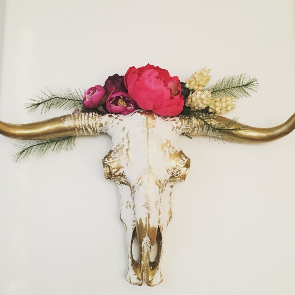Cow Skull | No Thanks to Cake