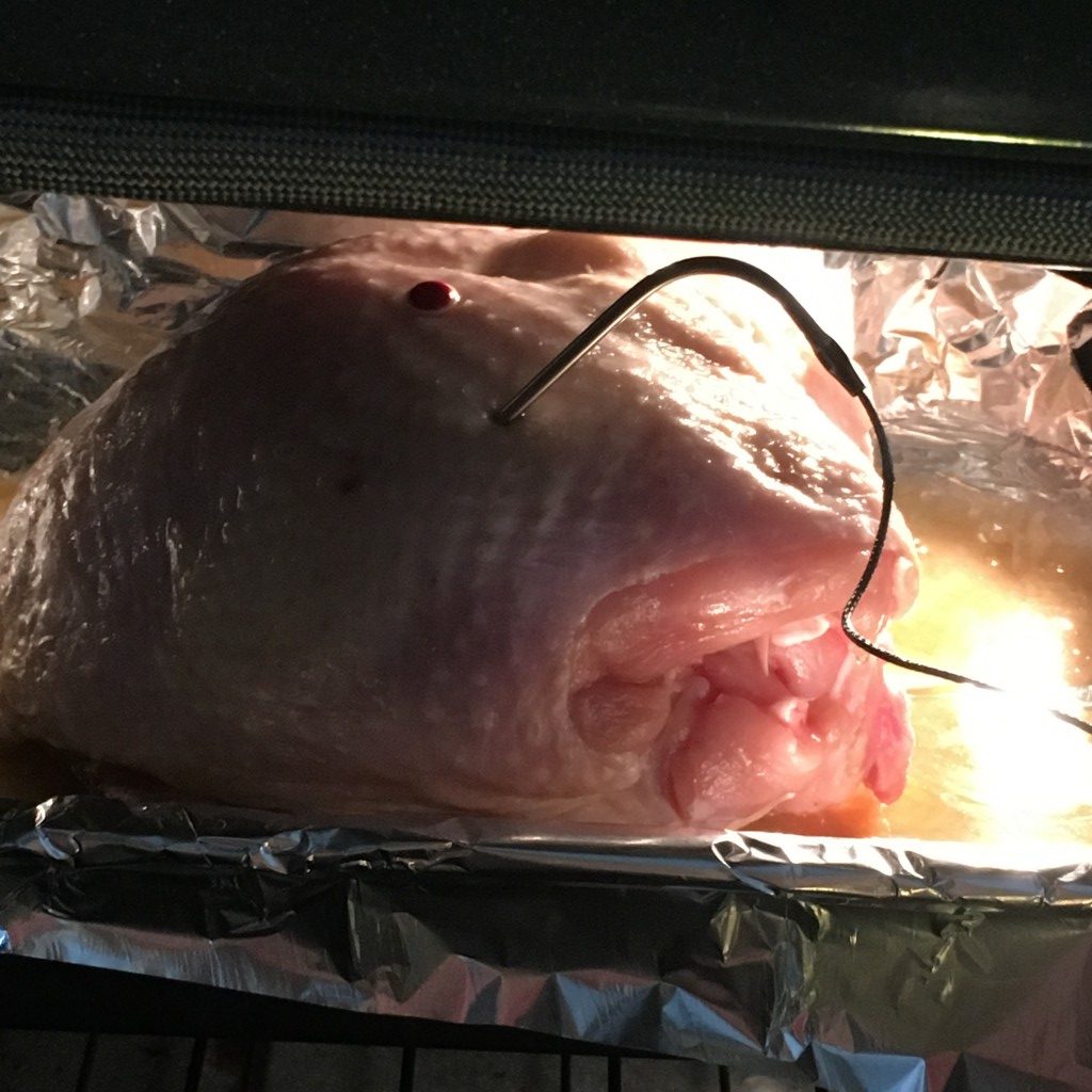 My First Turkey | No Thanks to Cake
