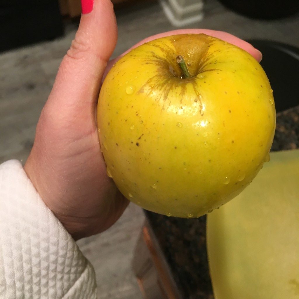 Opal Apples | No Thanks to Cake