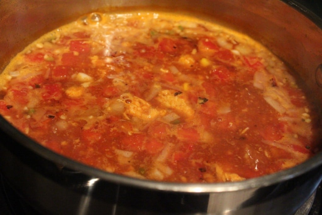 Jenny Craig Recipe Creation: Chicken Tortilla Soup
